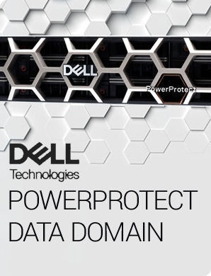 Dell PowerProtect Data Domain